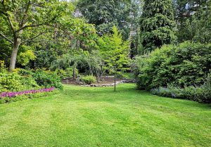 Optimiser l'expérience du jardin à Pennesieres